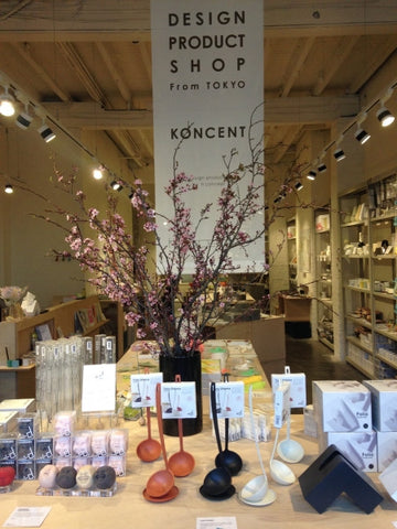 Cherry Blossoms at KONCENT Melbourne