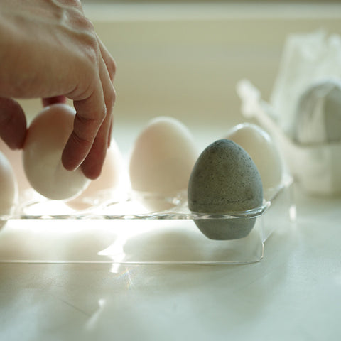 Drying Egg- Deodorising Egg - KONCENT
